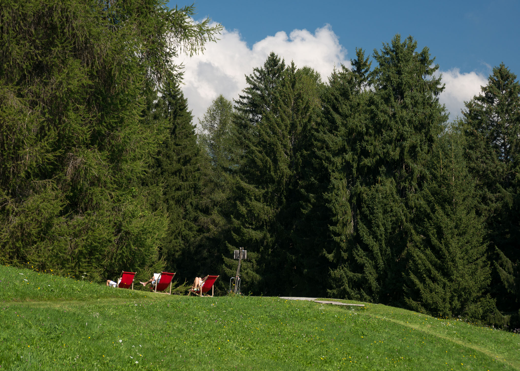 Umgeben von Wald und Wiesen laden die Liegestühle am Pool zum Entspannen ein.