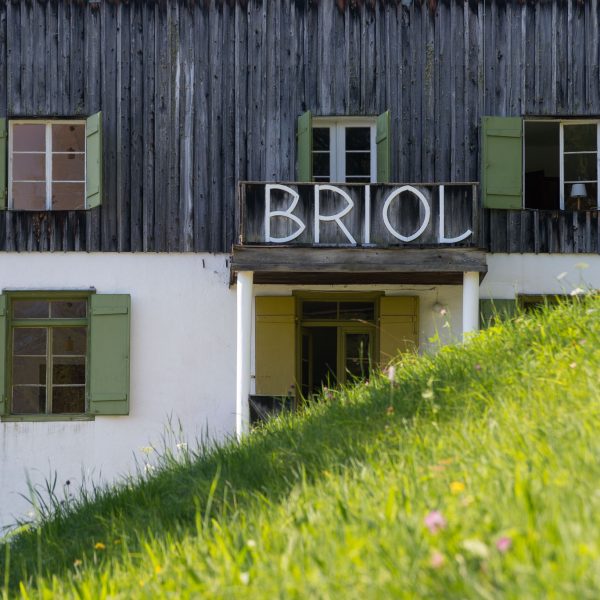 Grüne Bergwiese vorm Seiteneingang von Briol