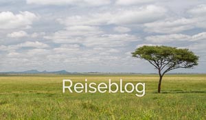 Das Wort "Reiseblog", Savanne und Schirmakazie