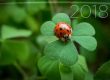 Kalender Titelblatt 2018