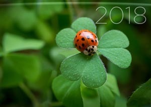 Kalender Titelblatt 2018