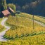 Herzerlstraße im Grenzland Slowenien / Österreich