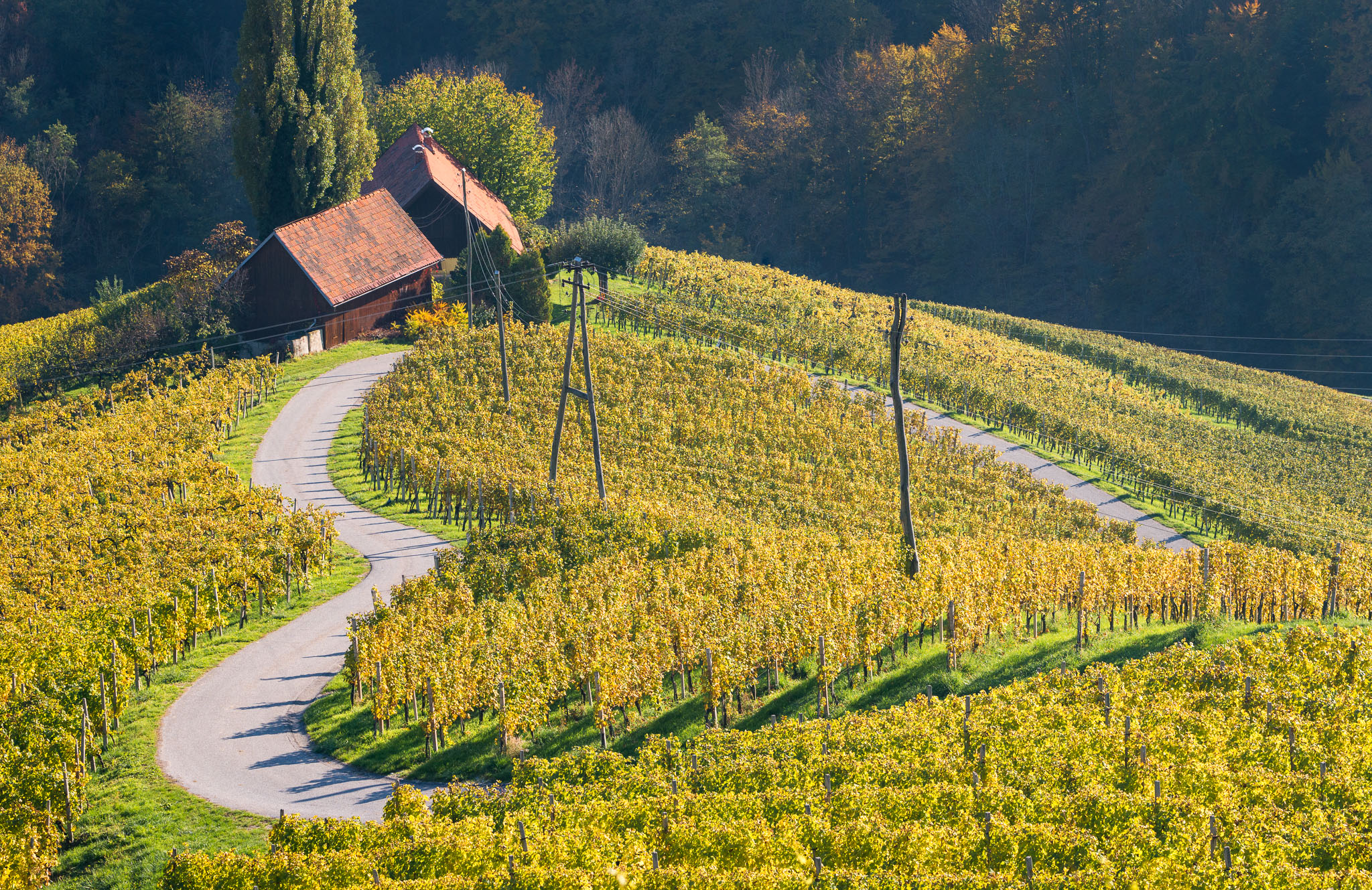 Herzerlstraße im Grenzland Slowenien / Österreich