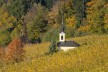 Eine Kapelle mitten im Weingarten