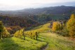 Blick ins südsteirische Weinland